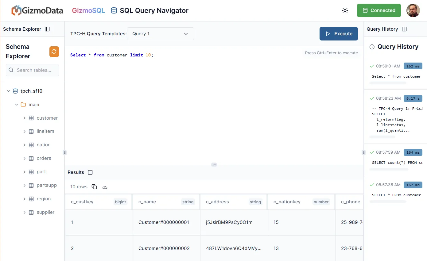 Interface do editor SQL do GizmoSQL na visualização padrão, com execução e histórico de consultas